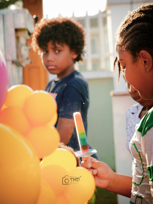 Popsicle Bar (Event Catering)