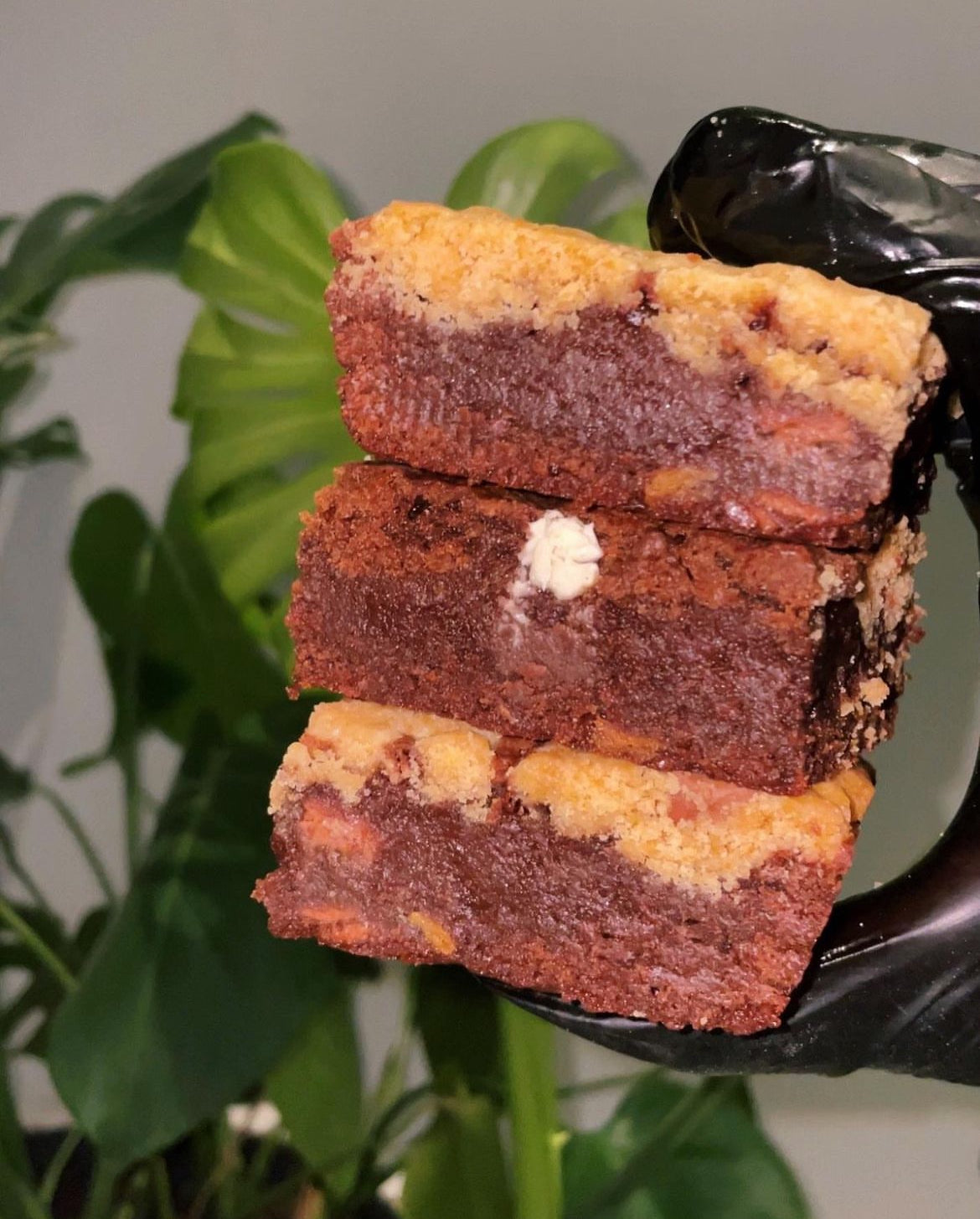 Brownies Available Now